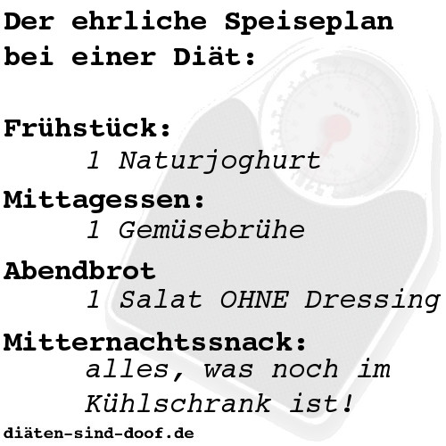 Der ehrliche Speiseplan bei einer Dit: Frhstck - 1 Naturjoghurt, Mittagessen - 1 Gemsebrhe, Abendbrot - 1 Salat ohne Dressing, Mitternachtssnack - alles, was noch im Khlschrank ist!