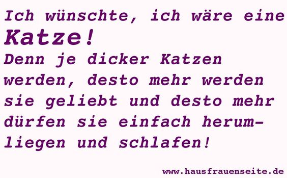 ich wnschte, ich wre eine Katze! Denn je dicker Katzen werden, desto mehr werden sie geliebt und desto mehr drfen einfach herumliegen und schlafen!