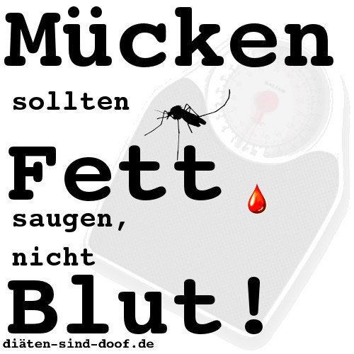 Mcken sollten Fett saugen, nicht Blut!